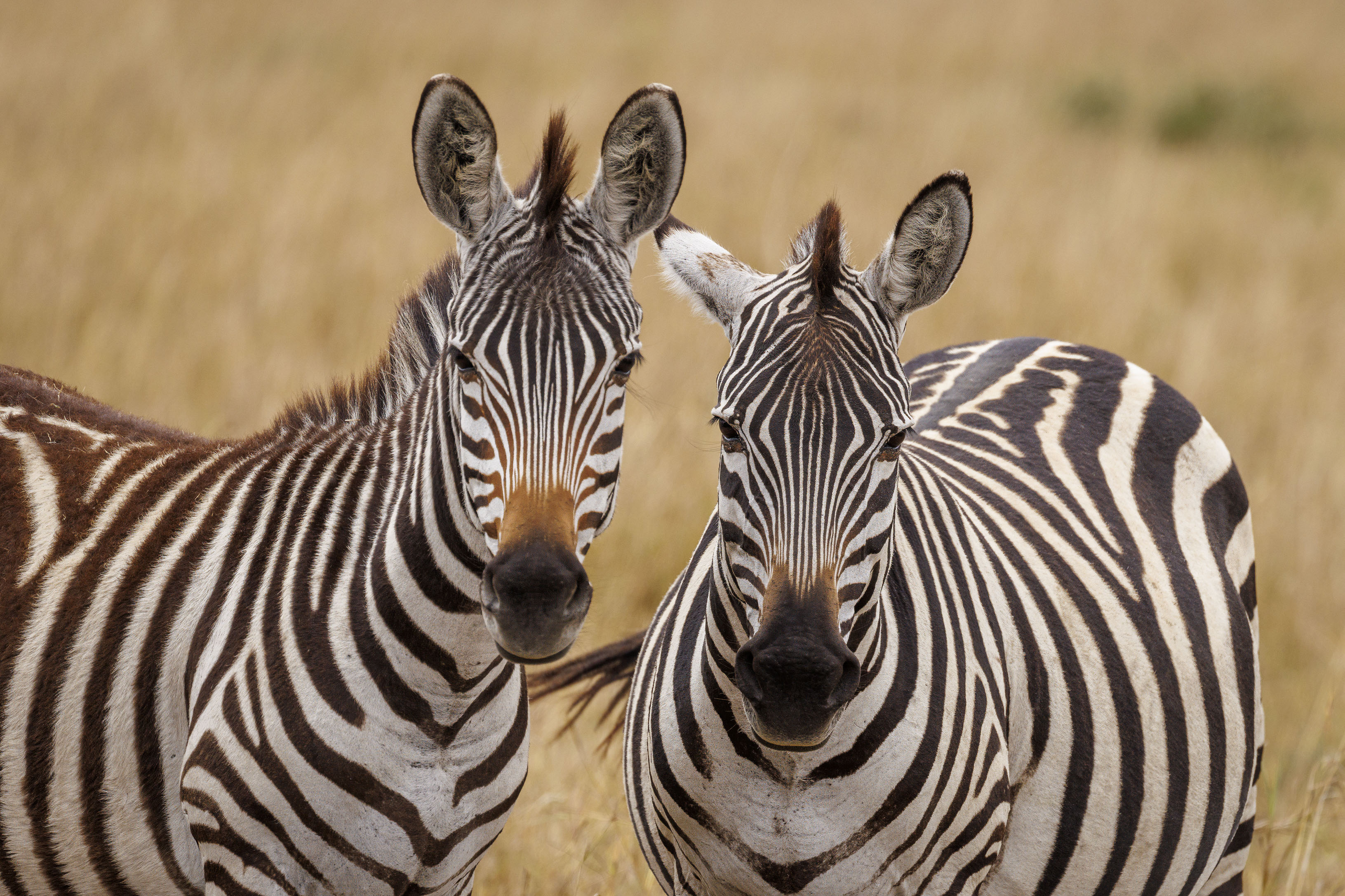 November 11, 2022-134343-2-Edit-2.jpg